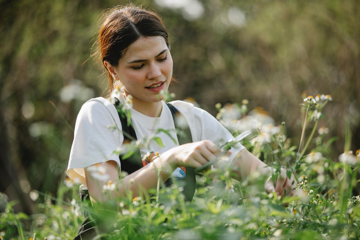 Kertészkedő nő. 11 otthon bevethető praktika a szúnyogcsípés csillapítására